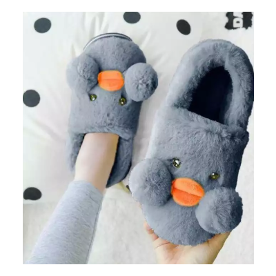 Plush Snow Boot Women Unisex House Shoes Ankle Boots for Women Casual Winter Warm Shoe